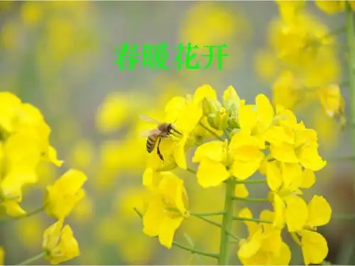 第一节 温度与温度计2013.9.2.