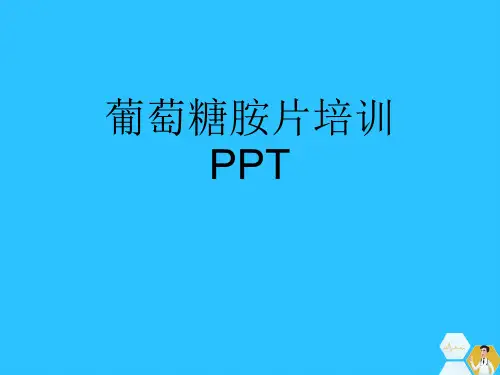 葡萄糖胺片培训PPT常用文档