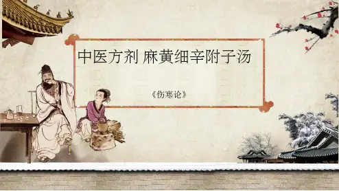 中医方剂 麻黄细辛附子汤