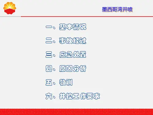 墨西哥湾的海上钻井平台井喷着火爆炸事故共66页