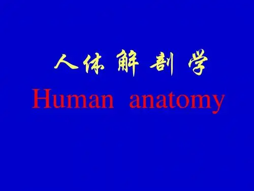 02骨连接