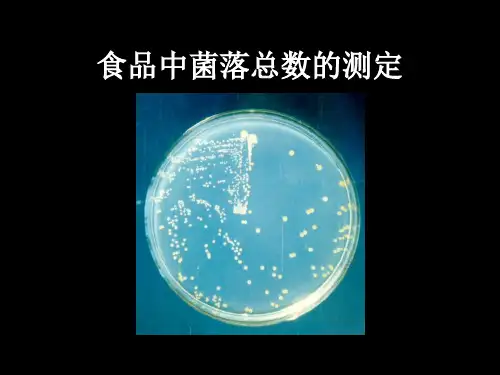 菌落总数测定