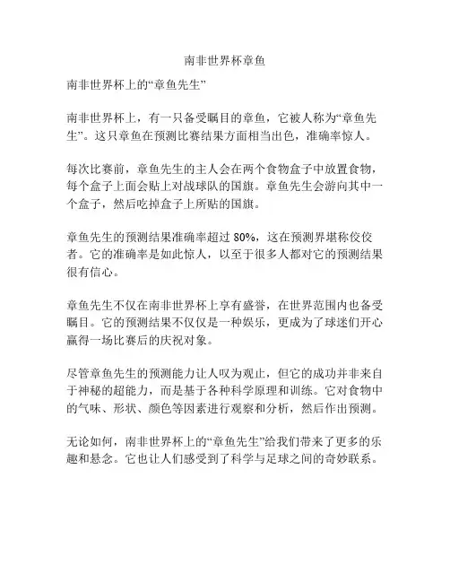 南非世界杯章鱼