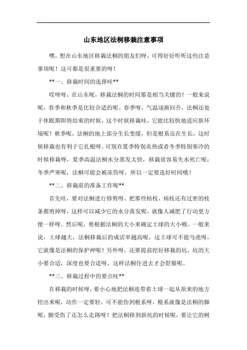 山东地区法桐移栽注意事项