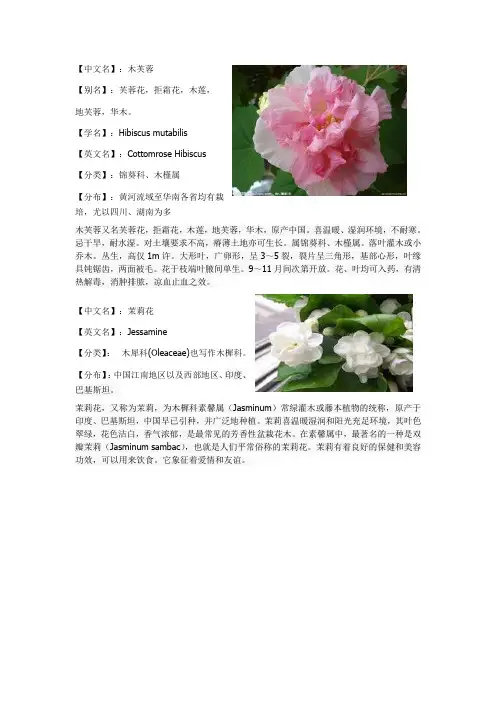 花卉卡片