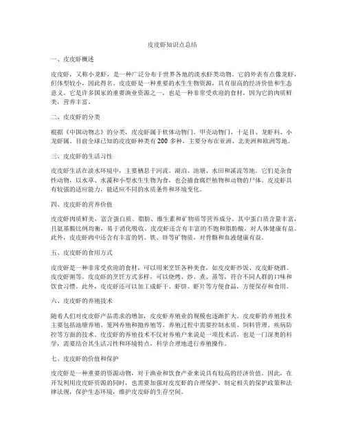 皮皮虾知识点总结
