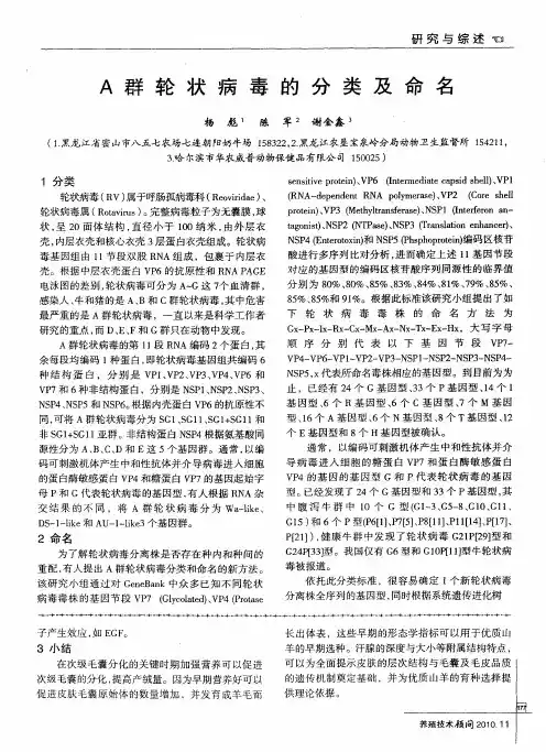 A群轮状病毒的分类及命名