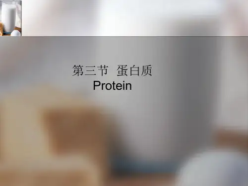 第二章  蛋白质(new)