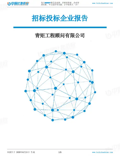 青矩工程顾问有限公司-招投标数据分析报告
