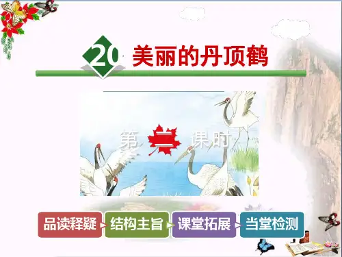 最新二年级语文上册第20课美丽的丹顶鹤(第2课时)苏教版优选教学课件