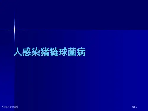 人感染猪链球菌病