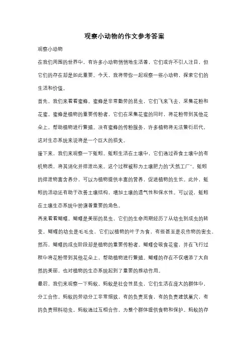 观察小动物的作文参考答案