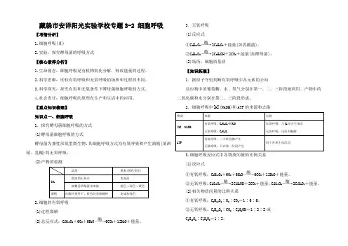 高考生物一轮复习 知识点讲解专题 细胞呼吸