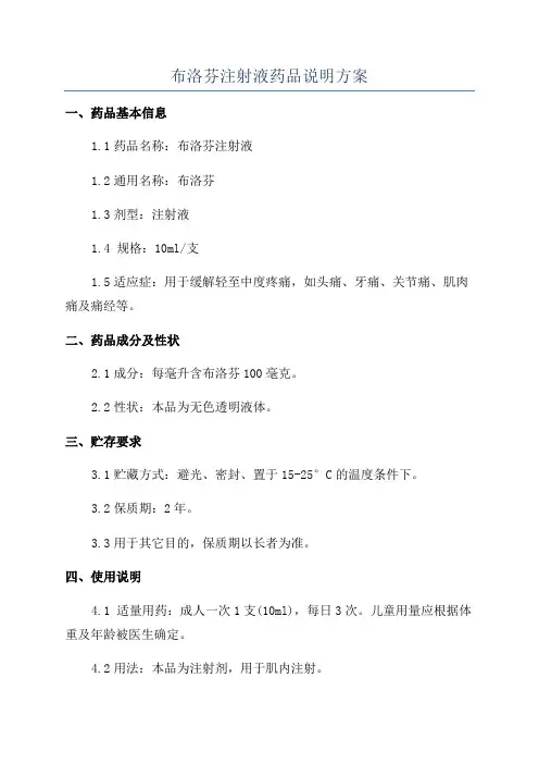 布洛芬注射液药品说明方案
