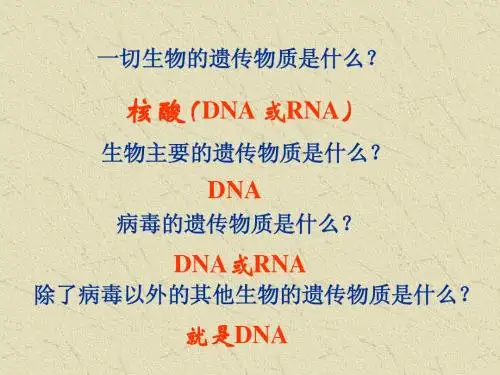 人教版教学课件人教版：DNA的结构和复制的课件