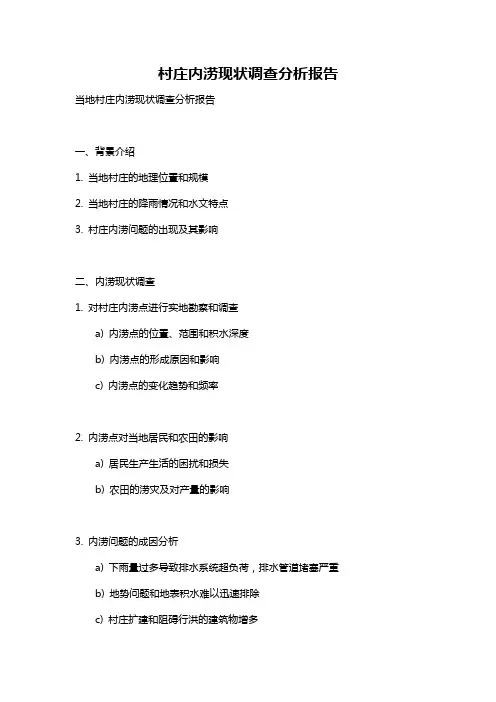 村庄内涝现状调查分析报告