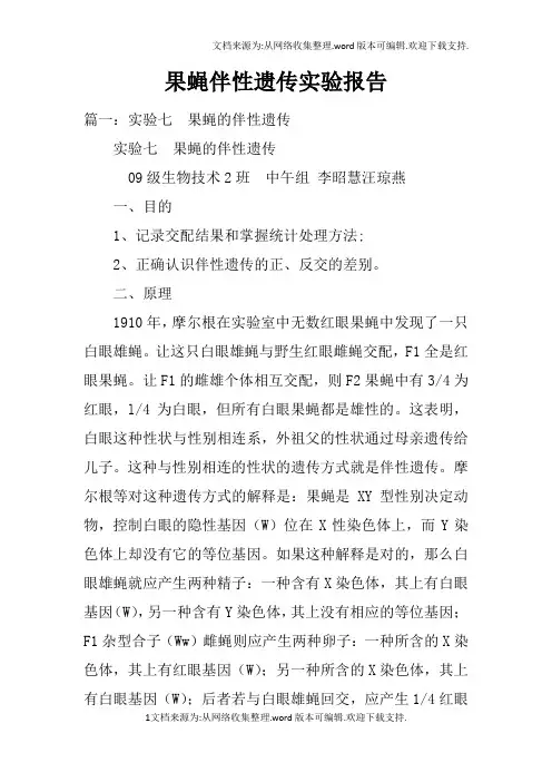 果蝇伴性遗传实验报告