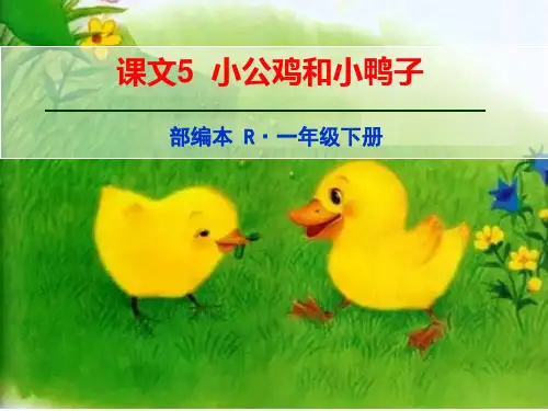 2017年春部编人教版语文一年级下册课文5《小公鸡和小鸭子》教学课件1