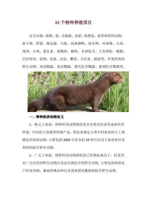 54个特种养殖项目