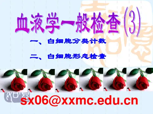 血液(WBC分类和形态3)