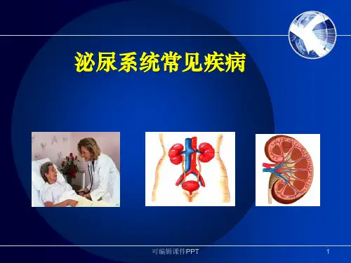 肾内科相关基础知识课件