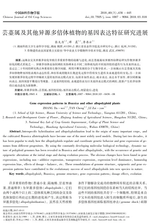 芸薹属及其他异源多倍体植物的基因表达特征研究进展