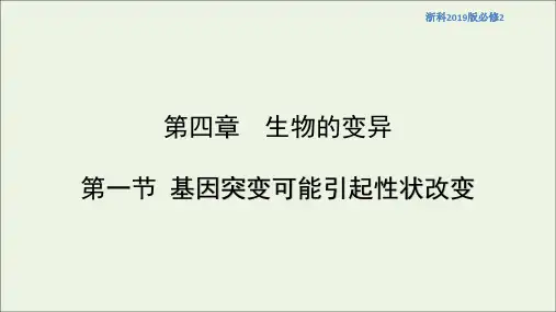 2021学年高中生物第四章生物的变异第一节基因突变可能引起性状改变课件1浙科版必修2