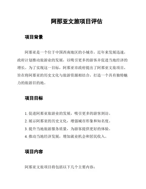 阿那亚文旅项目评估