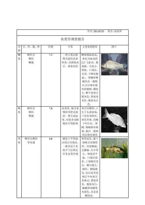 鱼类调查报告