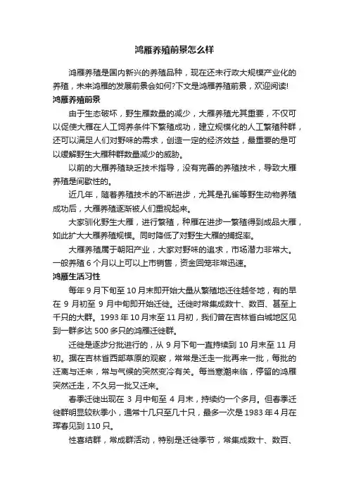 鸿雁养殖前景怎么样