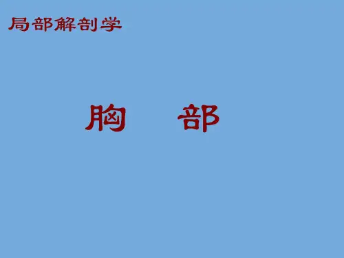 系统解剖学课件之胸部
