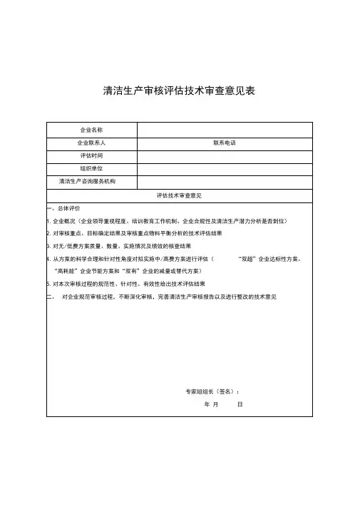 清洁生产审核技术审查意见表