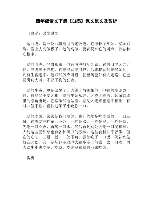 四年级语文下册《白鹅》课文原文及赏析