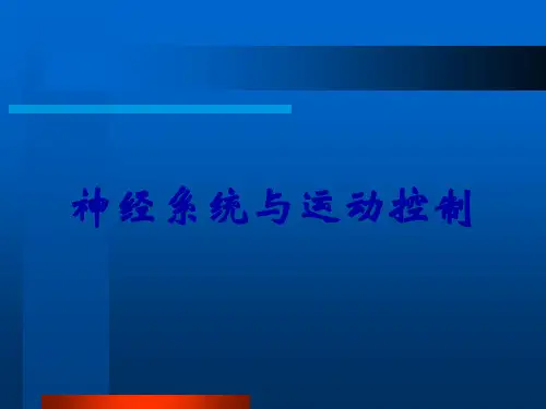 神经系统与运动控制