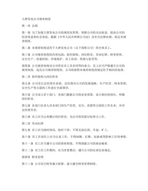 大唐发电规章制度