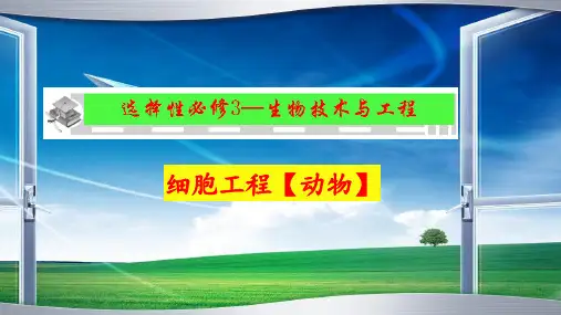 高三生物一轮复习课件细胞工程【动物】