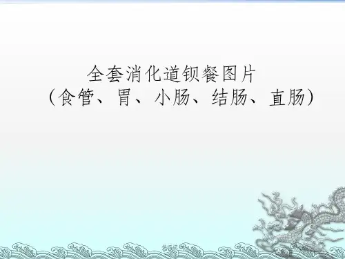 全套消化道钡餐图片
