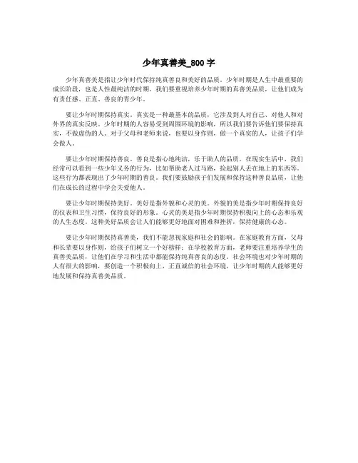 少年真善美_800字