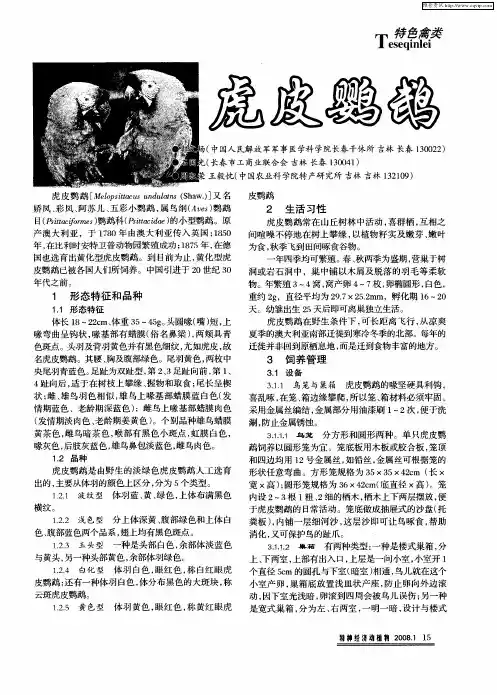 虎皮鹦鹉