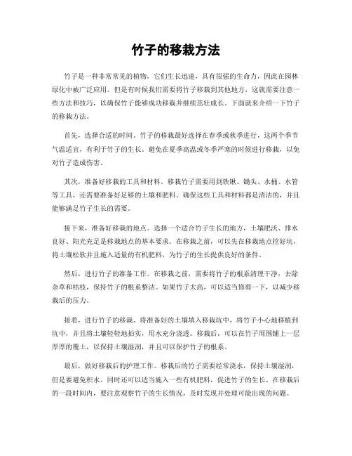 竹子的移栽方法