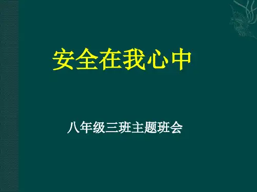 安全在我心中主题班会ppt