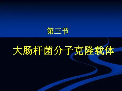 2-2章 大肠杆菌分子克隆载体