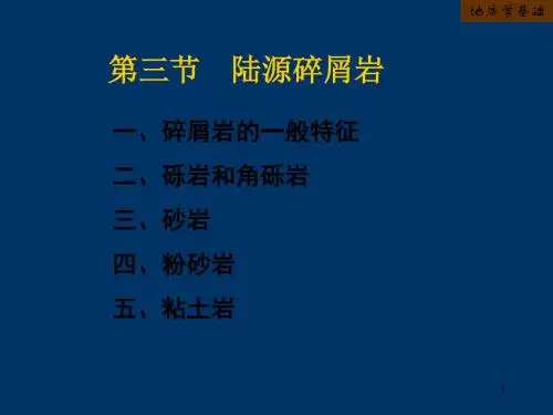 第四章沉积岩2 152页PPT文档