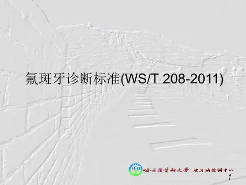 氟斑牙诊断标准课件分析(PPT26张)
