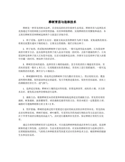 桦树育苗与造林技术