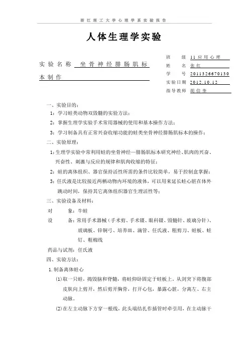 《人体生理学实验》牛蛙