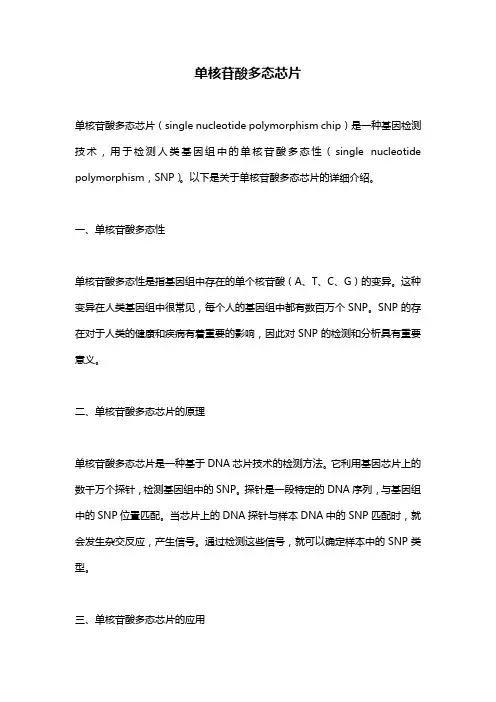 单核苷酸多态芯片