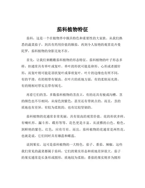 茄科植物特征