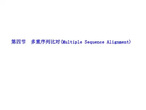 3多重序列比对