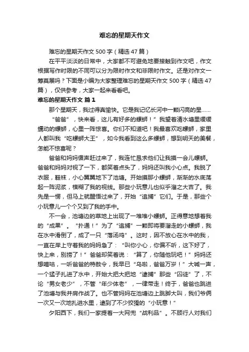 难忘的星期天作文